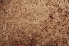 Cracked Earth Texture